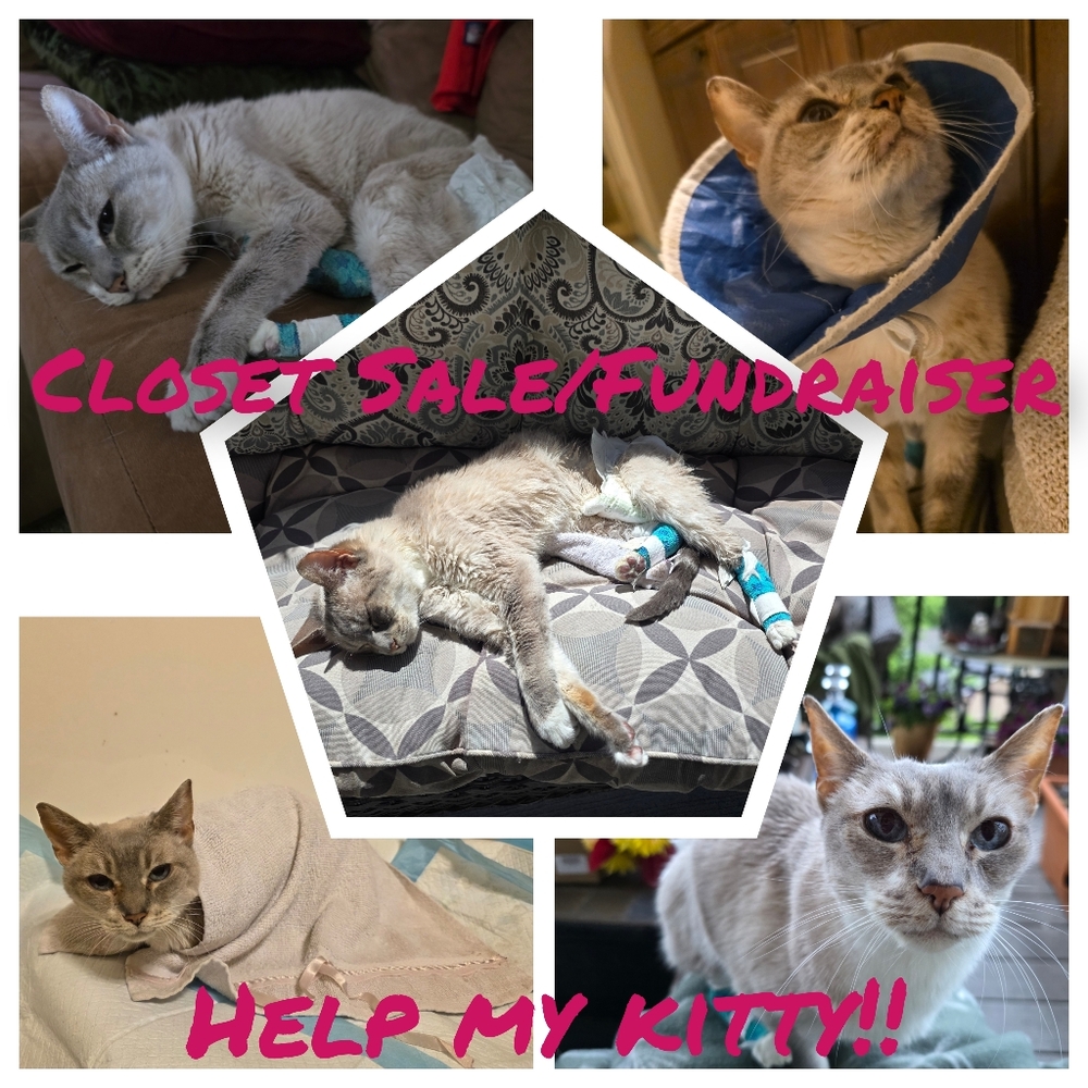 Closet Sale- Vet Bill Fundraiser!